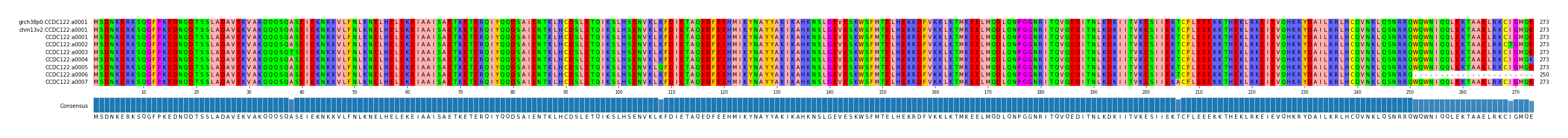 Multiple Alignments (by translate haplotype frequency)