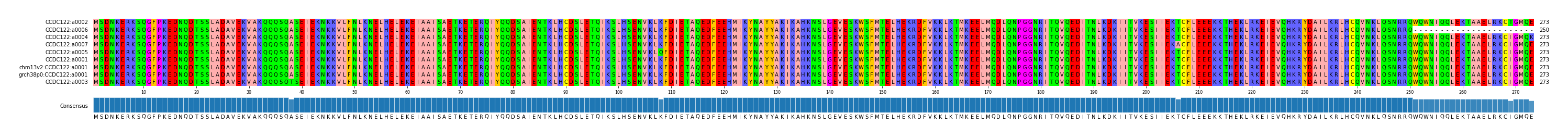 Multiple Alignments (by translate haplotype similarity)