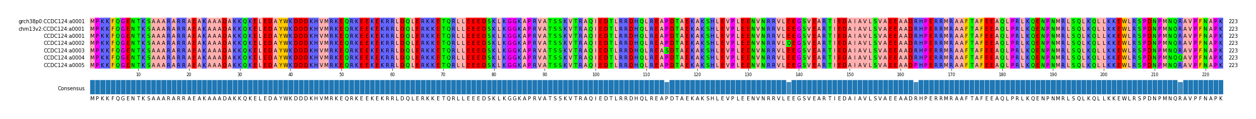Multiple Alignments (by translate haplotype frequency)