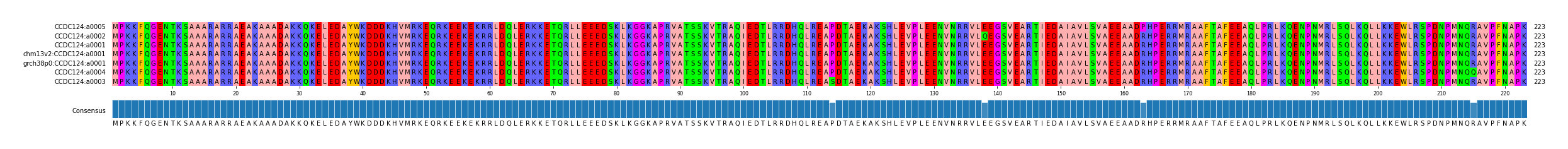 Multiple Alignments (by translate haplotype similarity)