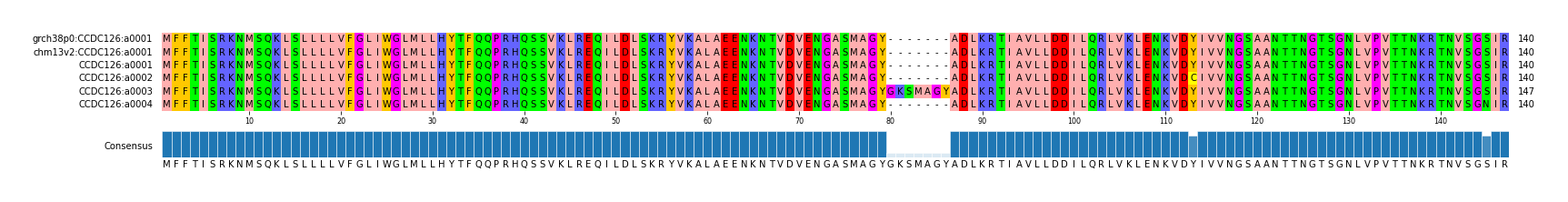 Multiple Alignments (by translate haplotype frequency)