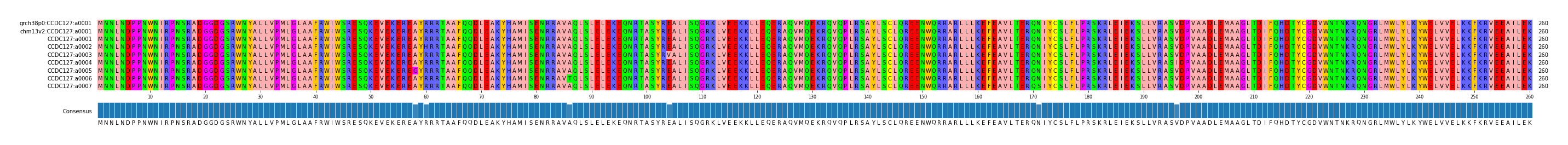 Multiple Alignments (by translate haplotype frequency)