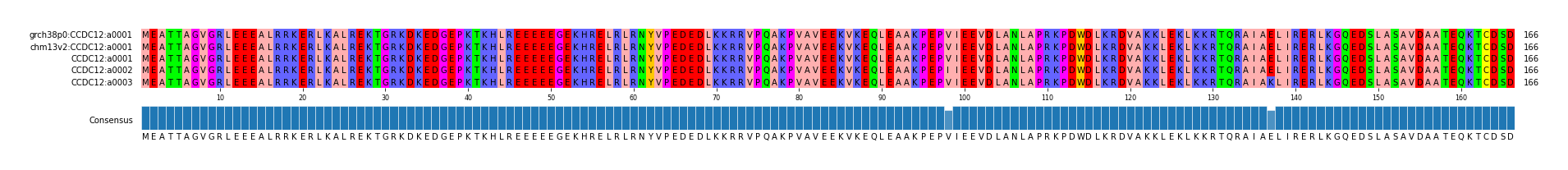 Multiple Alignments (by translate haplotype frequency)