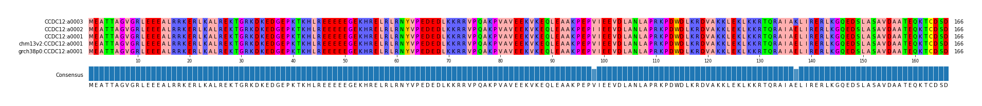 Multiple Alignments (by translate haplotype similarity)