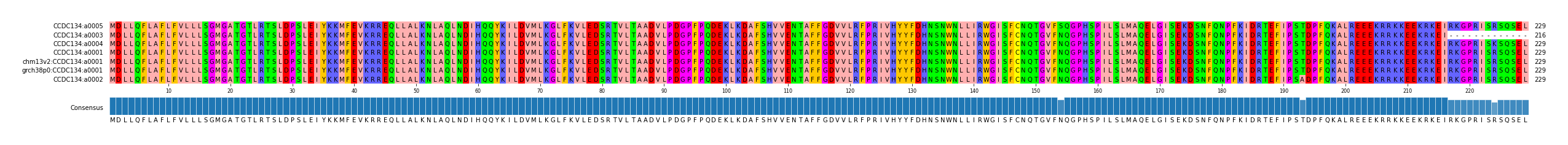 Multiple Alignments (by translate haplotype similarity)