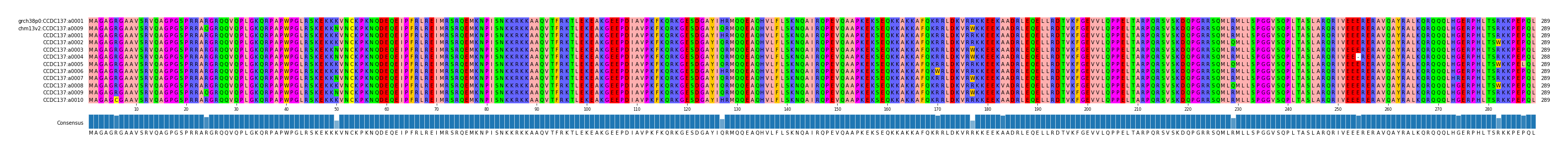 Multiple Alignments (by translate haplotype frequency)
