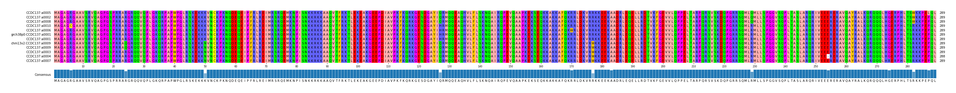 Multiple Alignments (by translate haplotype similarity)