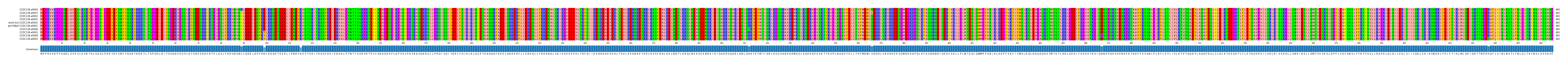 Multiple Alignments (by translate haplotype similarity)