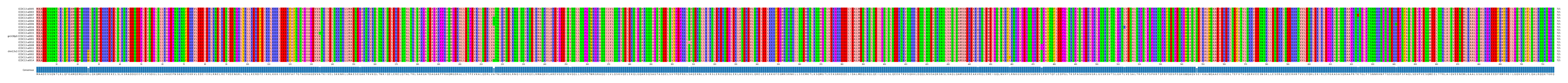 Multiple Alignments (by translate haplotype similarity)