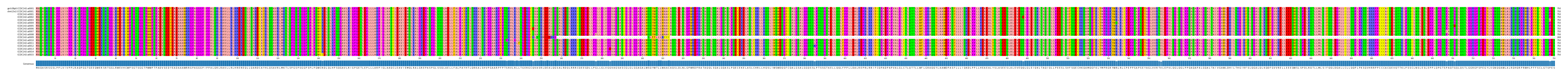 Multiple Alignments (by translate haplotype frequency)