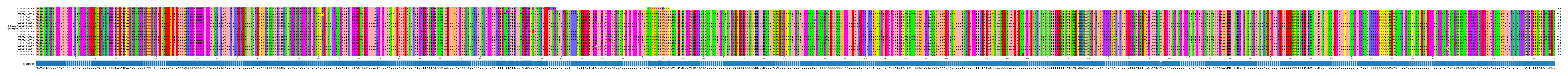 Multiple Alignments (by translate haplotype similarity)