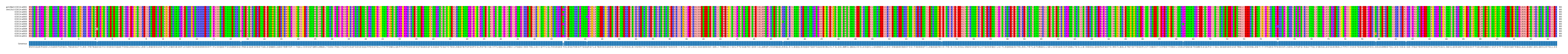 Multiple Alignments (by translate haplotype frequency)