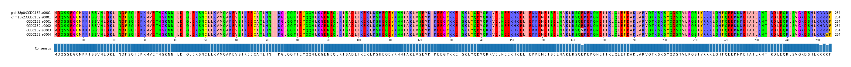 Multiple Alignments (by translate haplotype frequency)