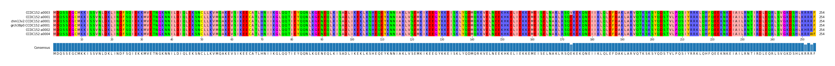 Multiple Alignments (by translate haplotype similarity)