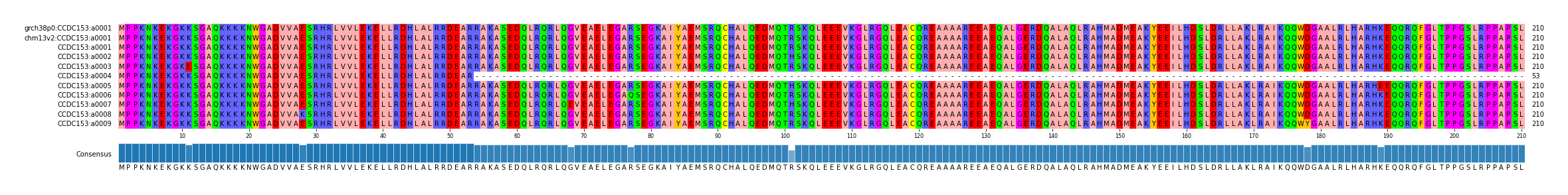 Multiple Alignments (by translate haplotype frequency)