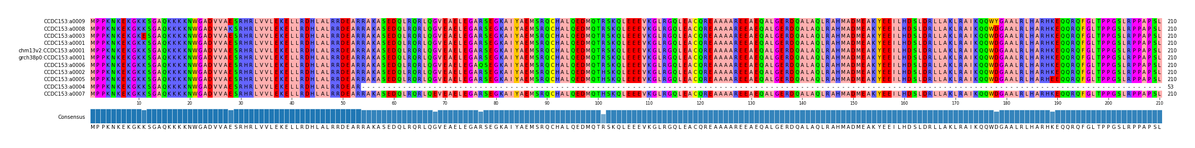 Multiple Alignments (by translate haplotype similarity)
