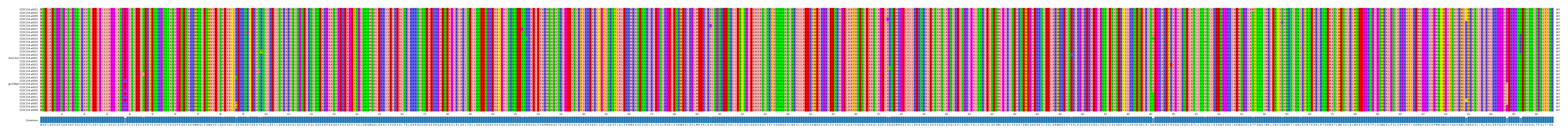Multiple Alignments (by translate haplotype similarity)