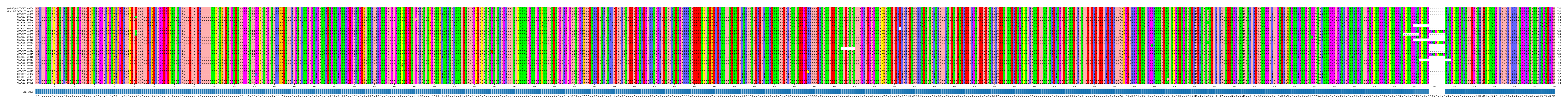 Multiple Alignments (by translate haplotype frequency)