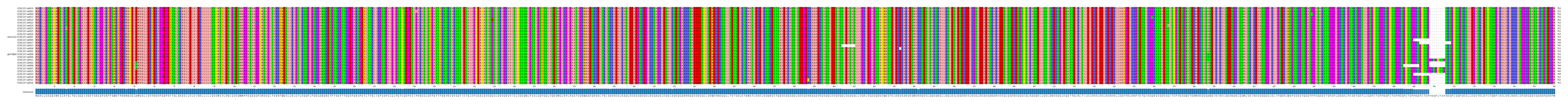 Multiple Alignments (by translate haplotype similarity)