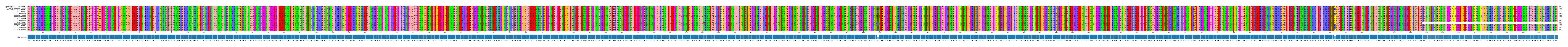 Multiple Alignments (by translate haplotype frequency)