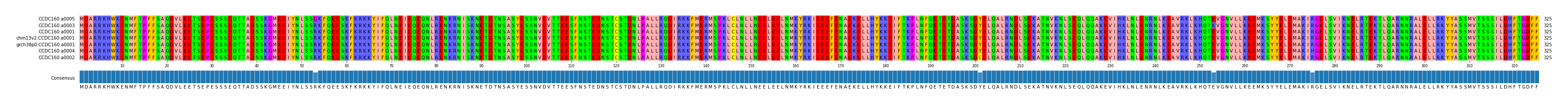 Multiple Alignments (by translate haplotype similarity)
