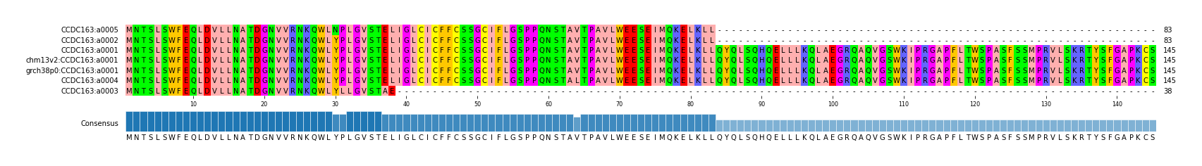 Multiple Alignments (by translate haplotype similarity)