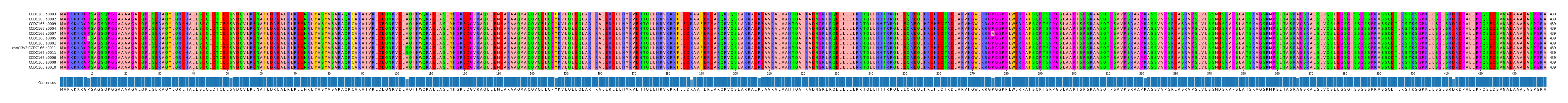 Multiple Alignments (by translate haplotype similarity)