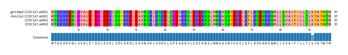 Multiple Alignments (by translate haplotype similarity)