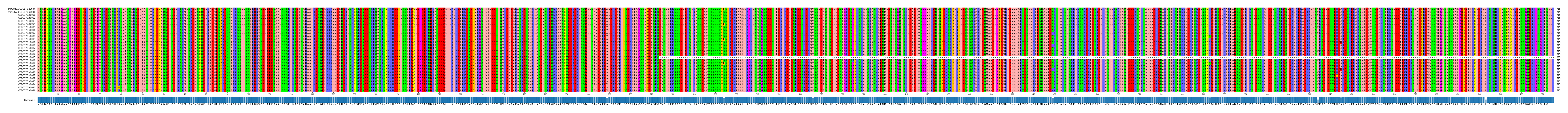 Multiple Alignments (by translate haplotype frequency)