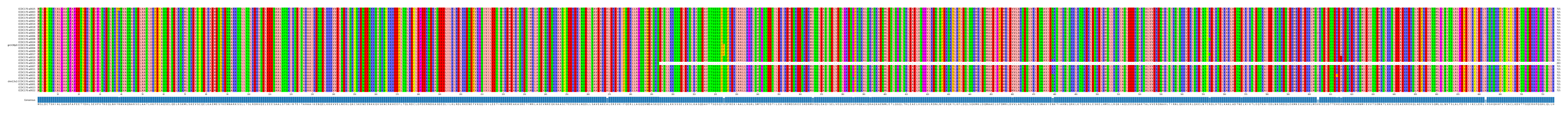 Multiple Alignments (by translate haplotype similarity)