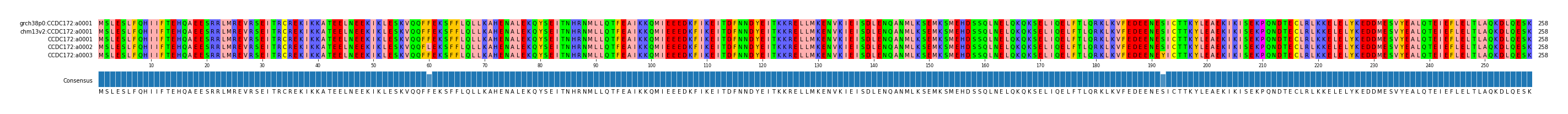 Multiple Alignments (by translate haplotype frequency)