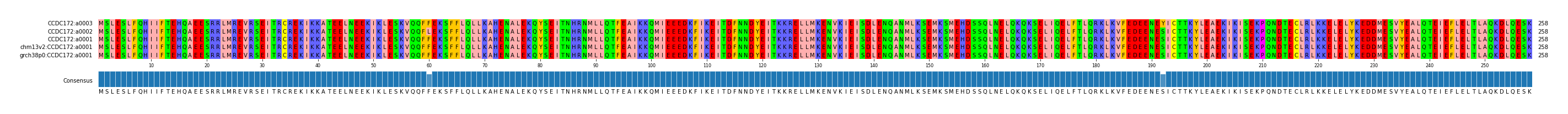 Multiple Alignments (by translate haplotype similarity)