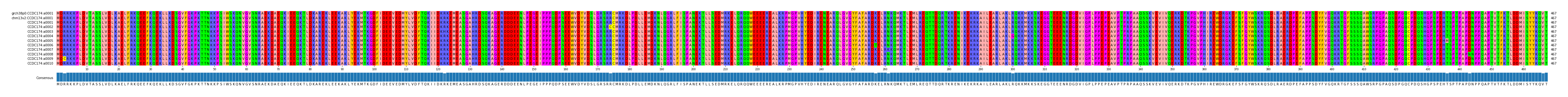 Multiple Alignments (by translate haplotype frequency)