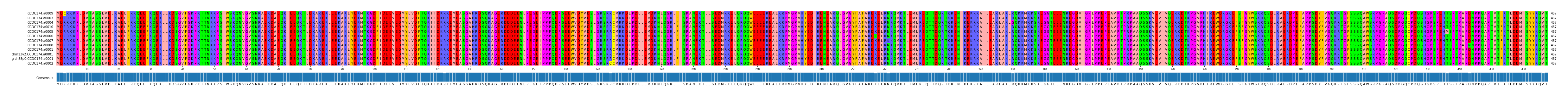 Multiple Alignments (by translate haplotype similarity)