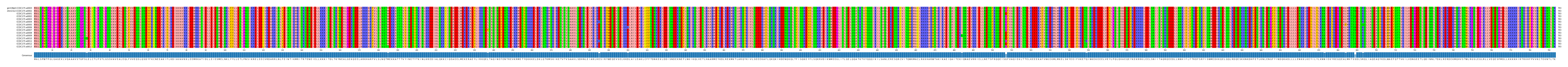 Multiple Alignments (by translate haplotype frequency)