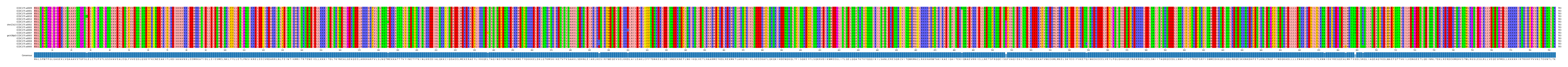 Multiple Alignments (by translate haplotype similarity)