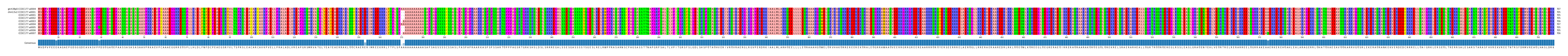 Multiple Alignments (by translate haplotype frequency)