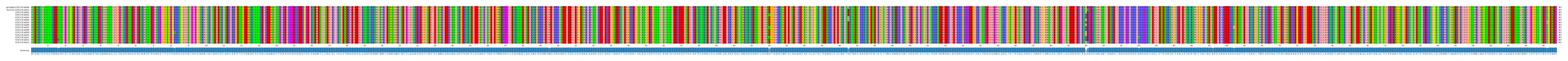 Multiple Alignments (by translate haplotype frequency)