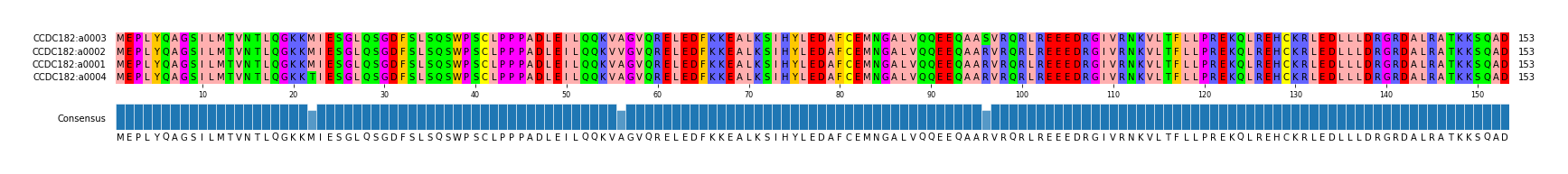 Multiple Alignments (by translate haplotype similarity)