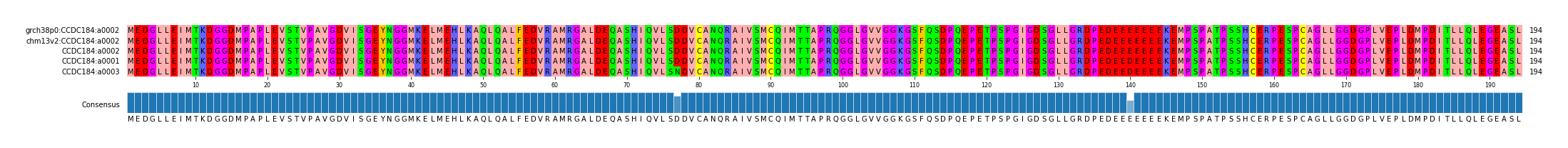 Multiple Alignments (by translate haplotype similarity)