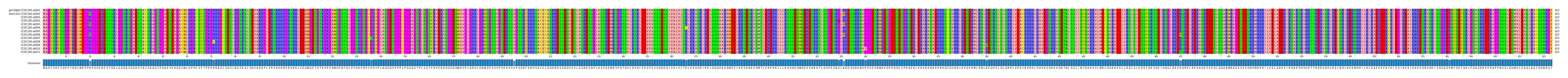 Multiple Alignments (by translate haplotype frequency)