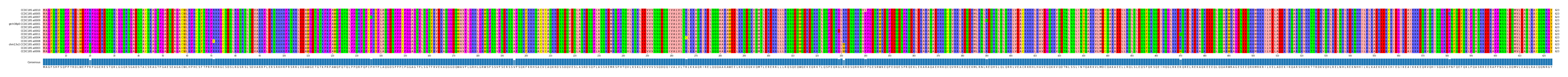 Multiple Alignments (by translate haplotype similarity)