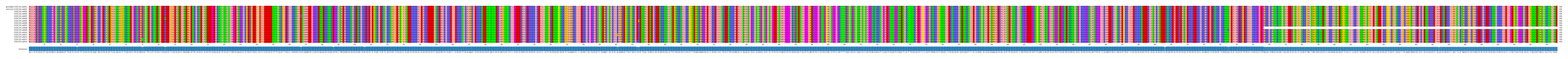 Multiple Alignments (by translate haplotype frequency)