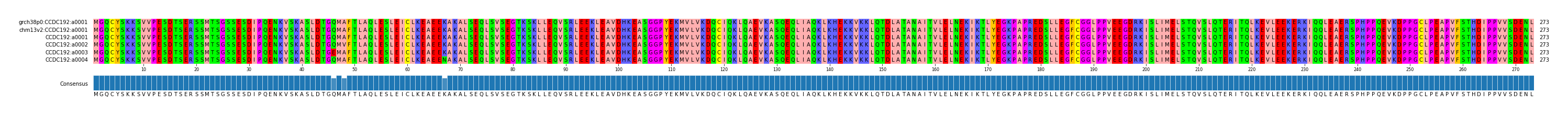 Multiple Alignments (by translate haplotype frequency)