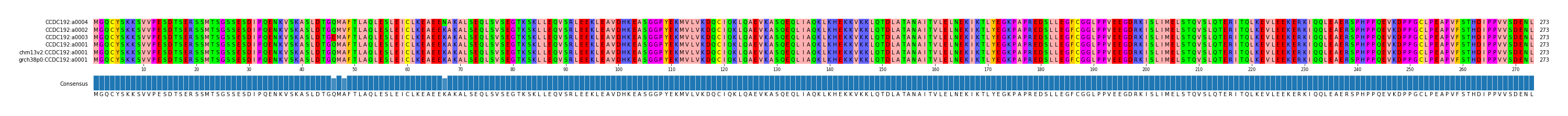 Multiple Alignments (by translate haplotype similarity)