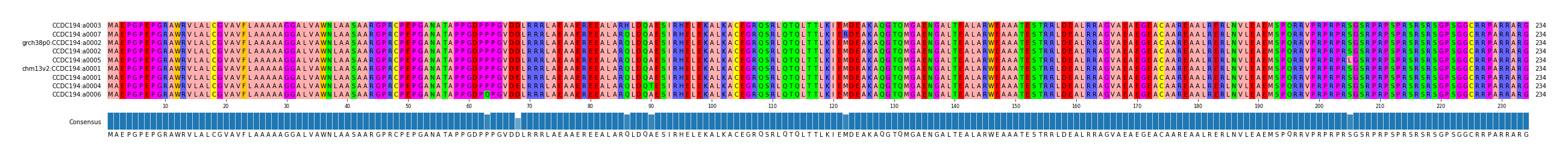 Multiple Alignments (by translate haplotype similarity)