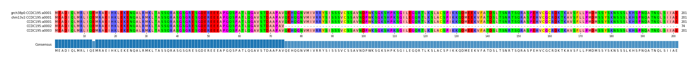 Multiple Alignments (by translate haplotype frequency)