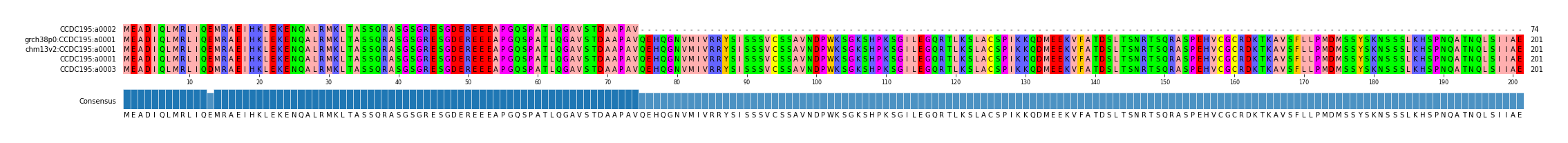 Multiple Alignments (by translate haplotype similarity)