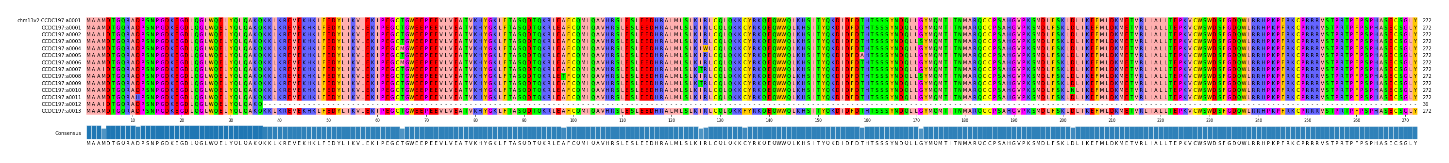 Multiple Alignments (by translate haplotype frequency)