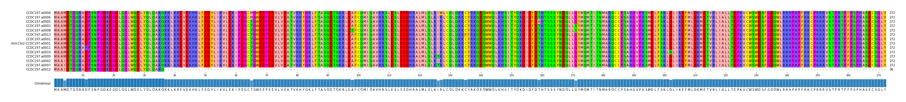 Multiple Alignments (by translate haplotype similarity)